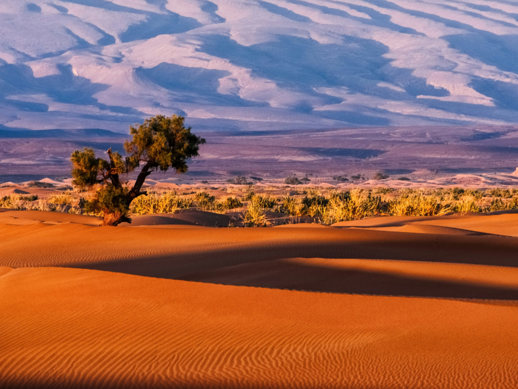 Gobi Desert Adventure 7D/6N Price: 1099$ img 5115